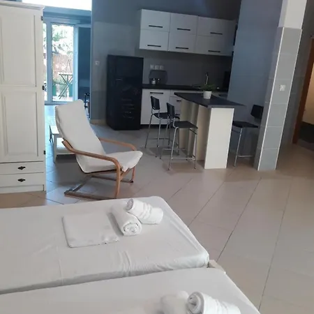 Marias Cozy House Apartment Metagkitsi Exterior photo